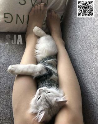 女演员试镜_HD日韩免费观看