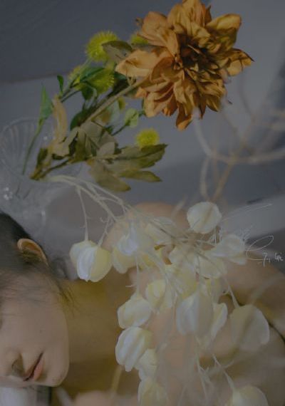 想成为世界最强_在线观看免费版